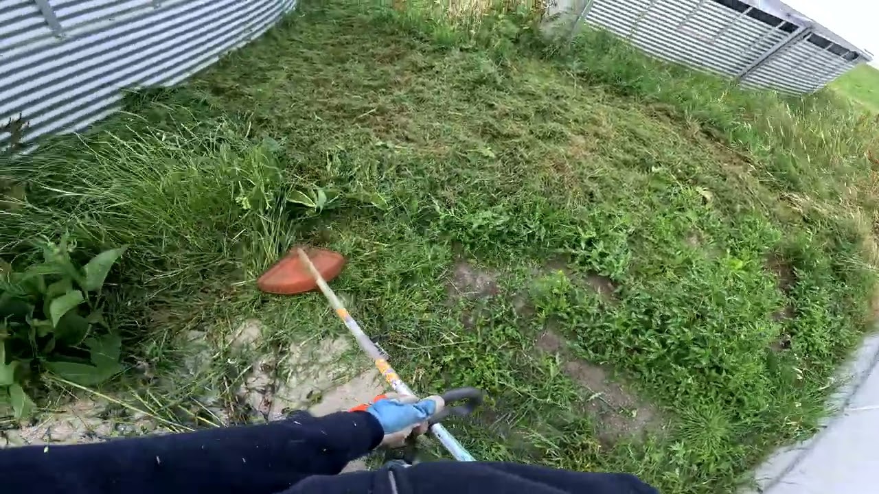 Husqvarna 129LK with trimmer attachment mowing very tall grass POV