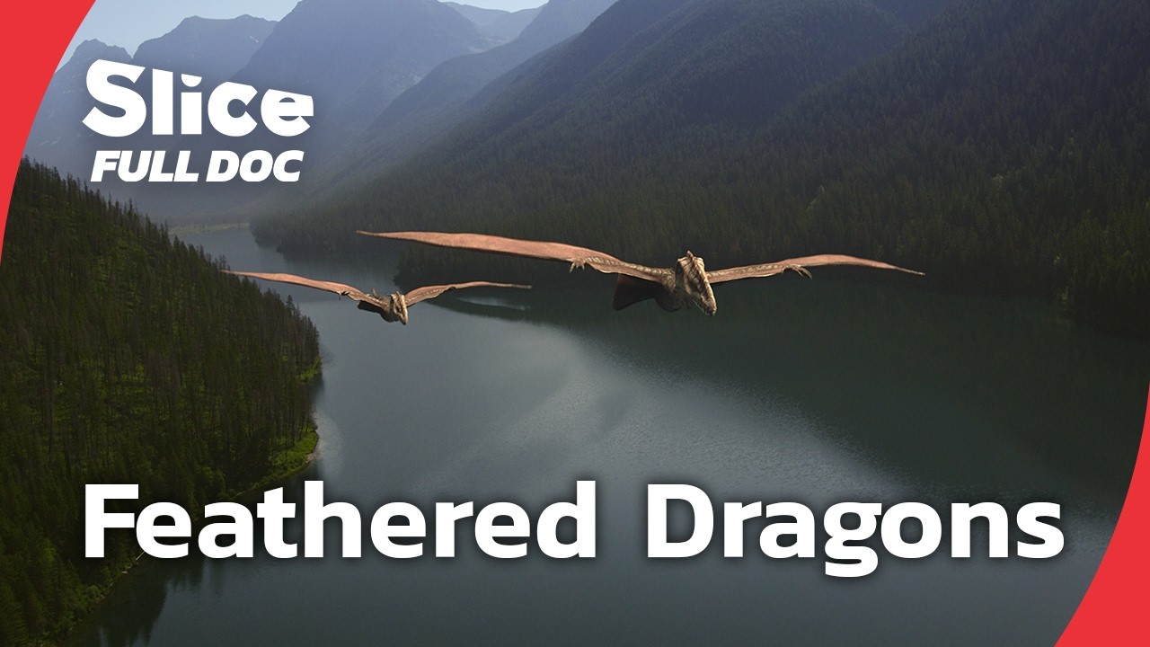 The Evolution of Birds: From Feathered Dinosaurs to Flight | FULL DOCUMENTARY