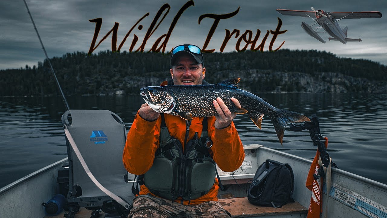 A Week In The Wild Fishing For Trout - Remote Fly In Outpost in Northern Ontario