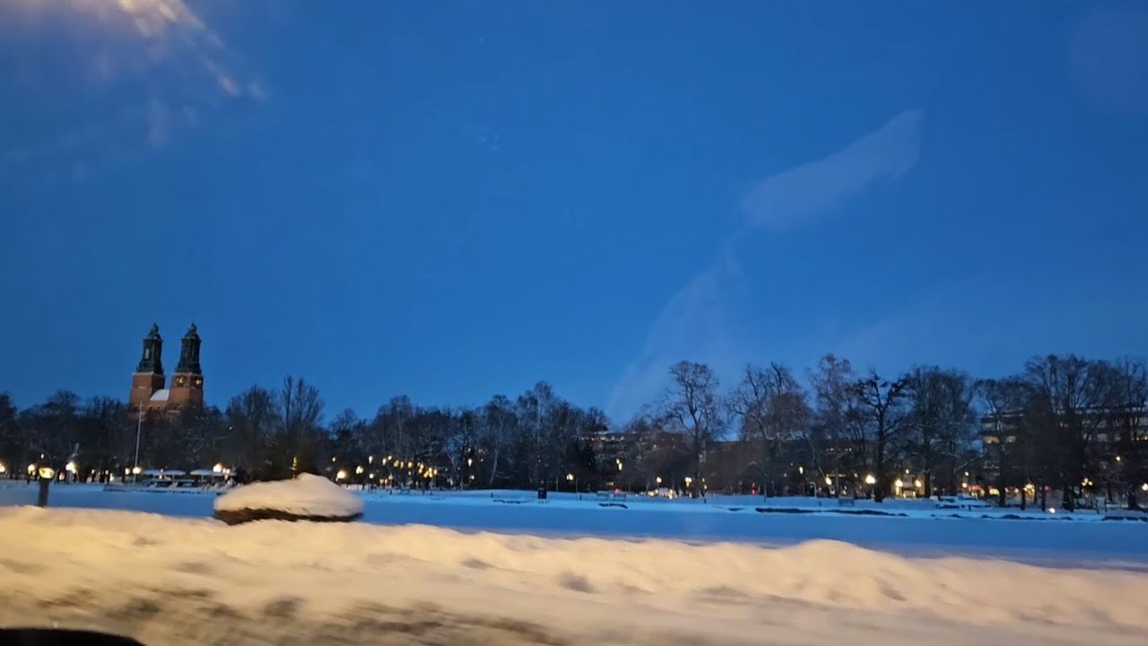 🇻🇳❤️🇸🇪 Thời tiết lạnh quá nhưng bắt buộc đi ra ngoài