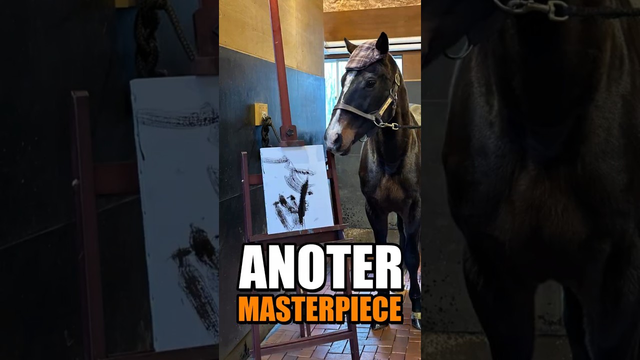 Wonder Acute&rsquo;s Art Made the News