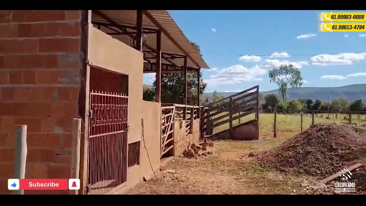 SÍTIO À VENDA – 24 HECTARES PLANOS EM MINAS GERAIS | R$ 600.000,00