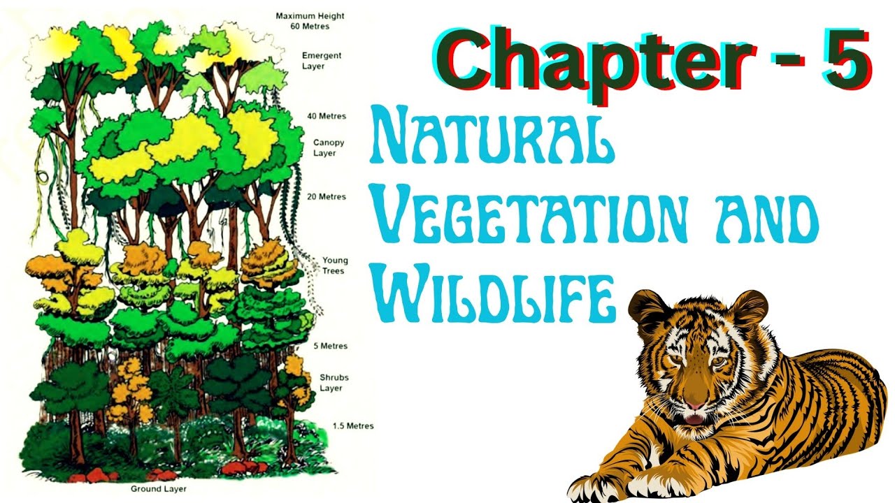 Class 9th || Geography || Chapter - 5 || Natural Vegetation and  Wildlife