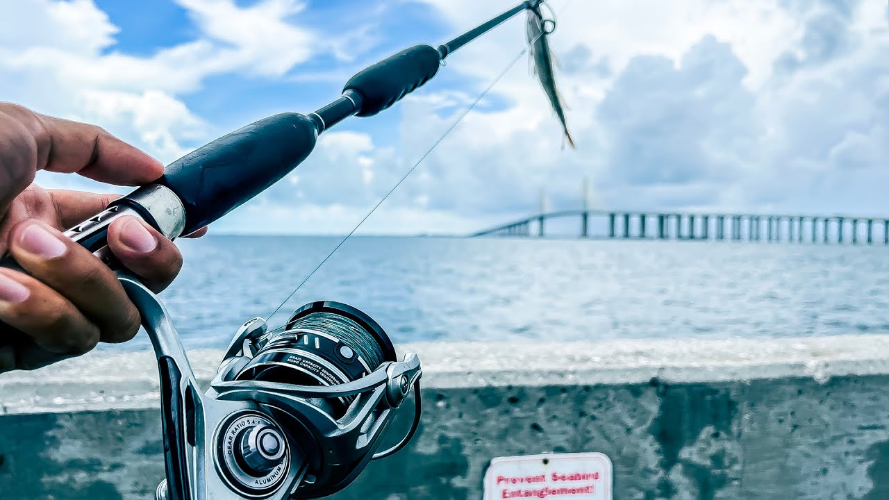Skyway Pier Gag Grouper Fishing | We Have a Problem