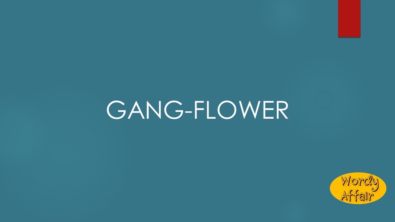 Gang-flower Meaning