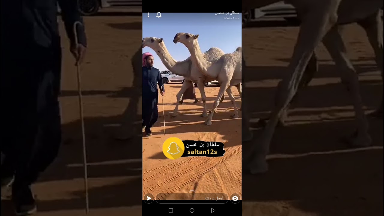 الحاكم وانتاجه بن قريع  *تصوير واضح*