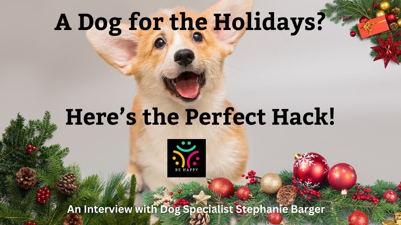 Holiday Dog Owners Are Switching to This ONE Thing!