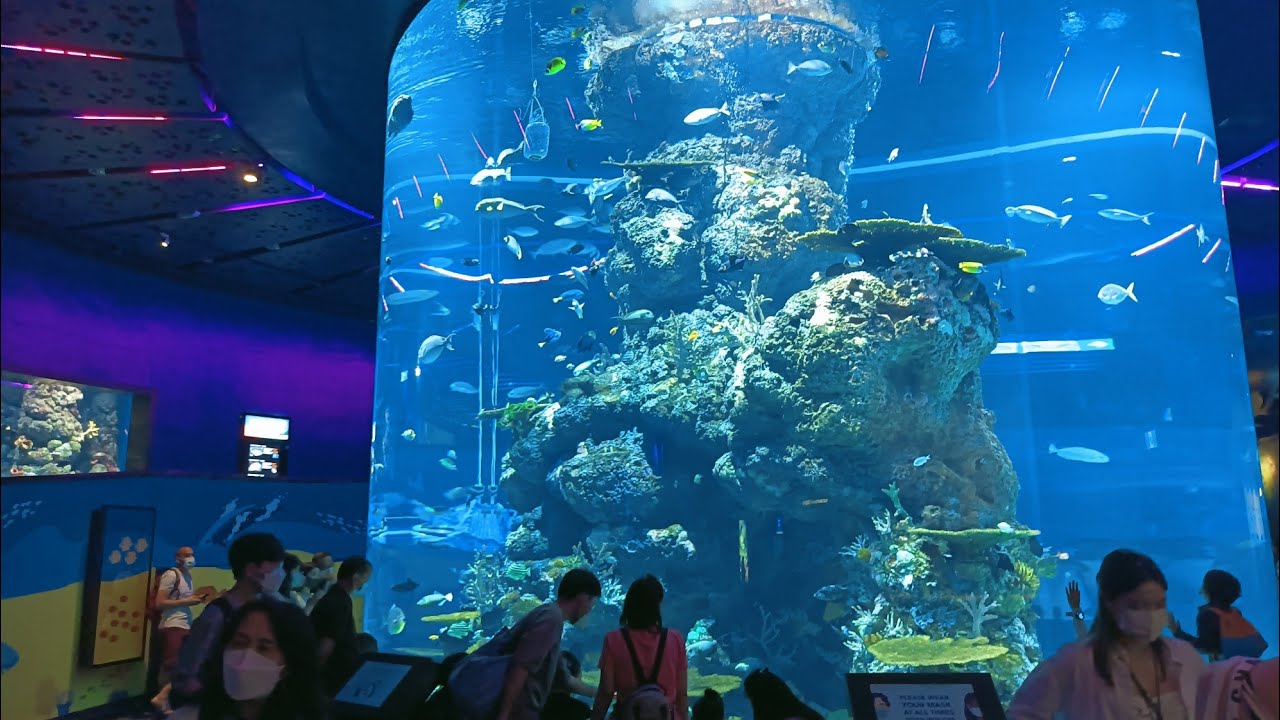 Sea aquarium My adventure here in Singapore#sea #aquarium #singapore