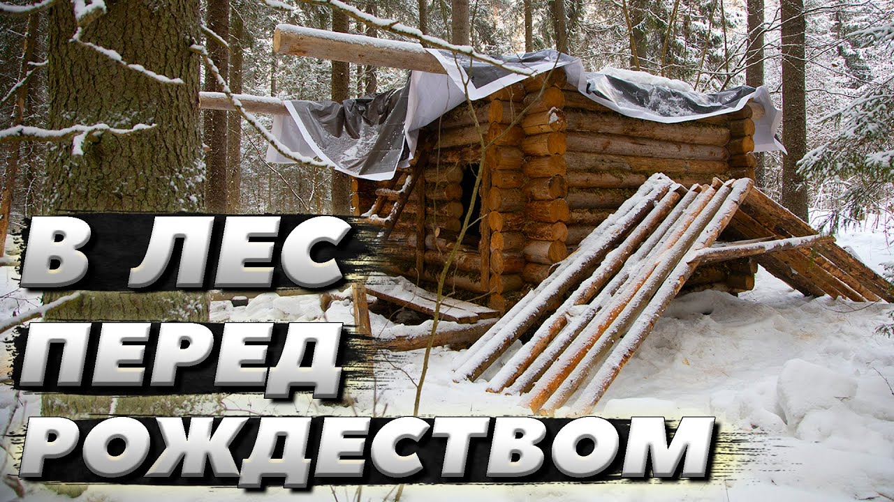 Морозный лес. Прогулялись до сруба | ЛЕСНОЙ ДОМ | ИЗБА | FOREST HOUSE | DUGOUT | HUT