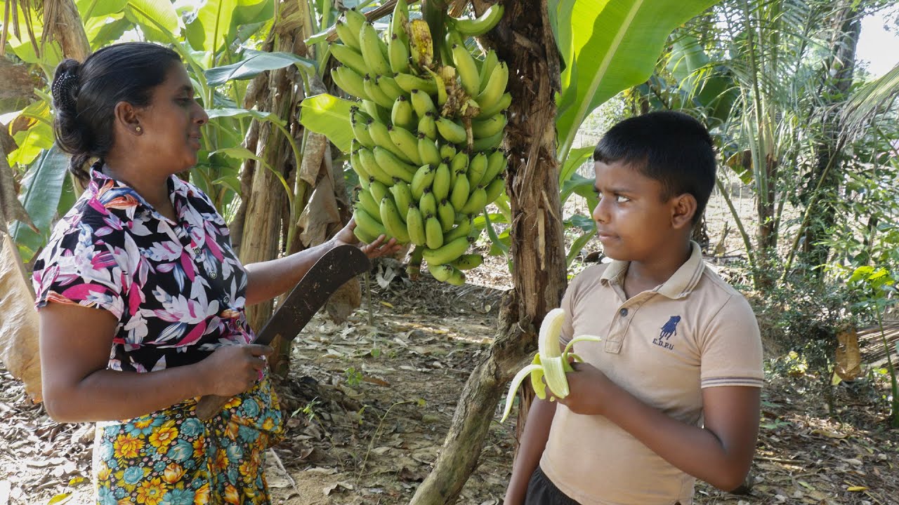 Banana cupcakes and desserts/Here is a cupcake made using banana juice.  village kitchen recipe