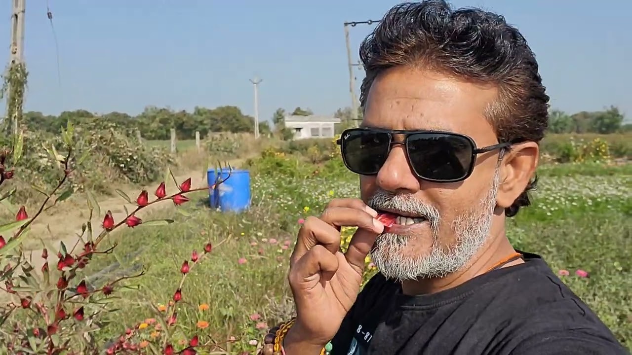 Village Organic farming || 