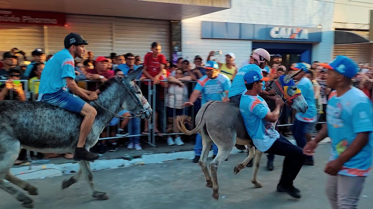 CORRIDA DE JEGUE (JUMENTO) EM PANELAS PE (1º DE MAIO/2023) UMA TRADIÇÃO AQUI NA REGIÃO!!