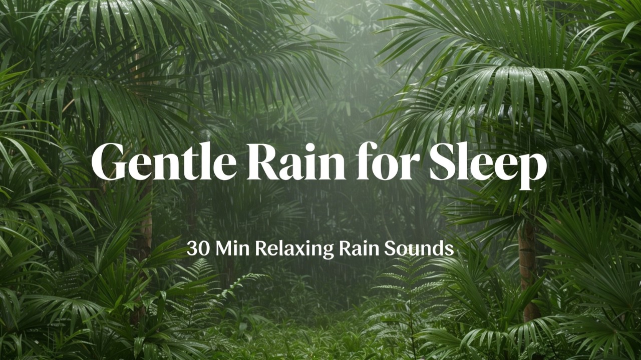 Gentle Tropical Rain for Sleep 🌧 30 Min – Relaxing Sleep Sounds & Meditation