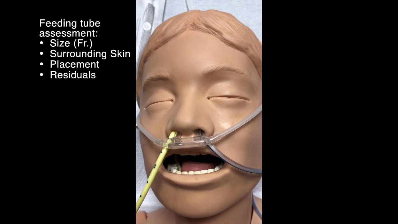 PICU General Assessment