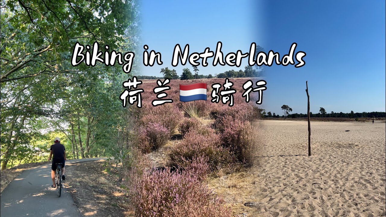 【荷兰生活 Live in Netherlands】周末骑行Biking 60 km on weekend