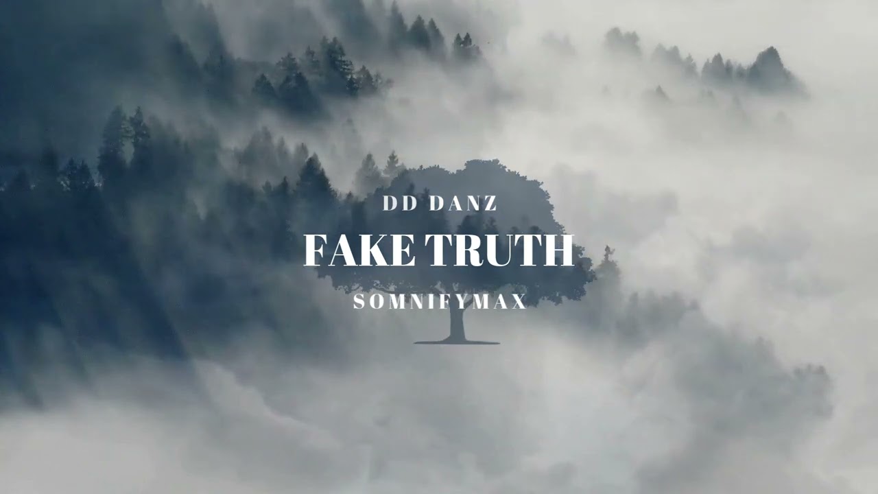 DD Danz - Fake Truth