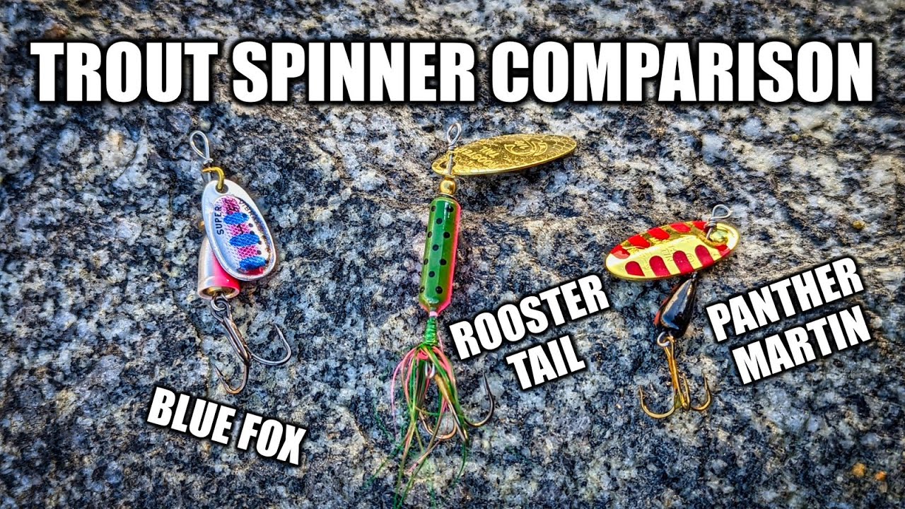 Best Spinners for Trout