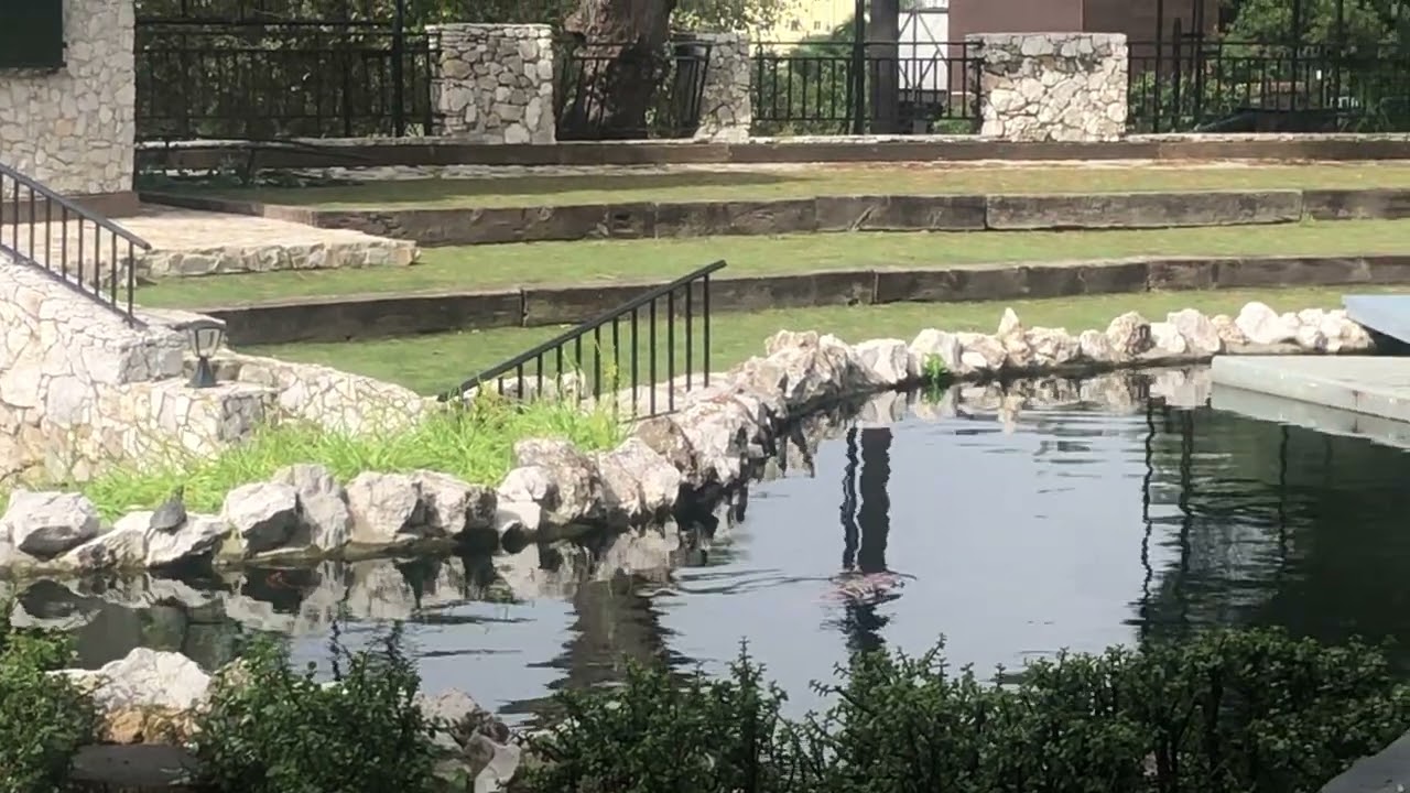 Open air theatre Koi pond