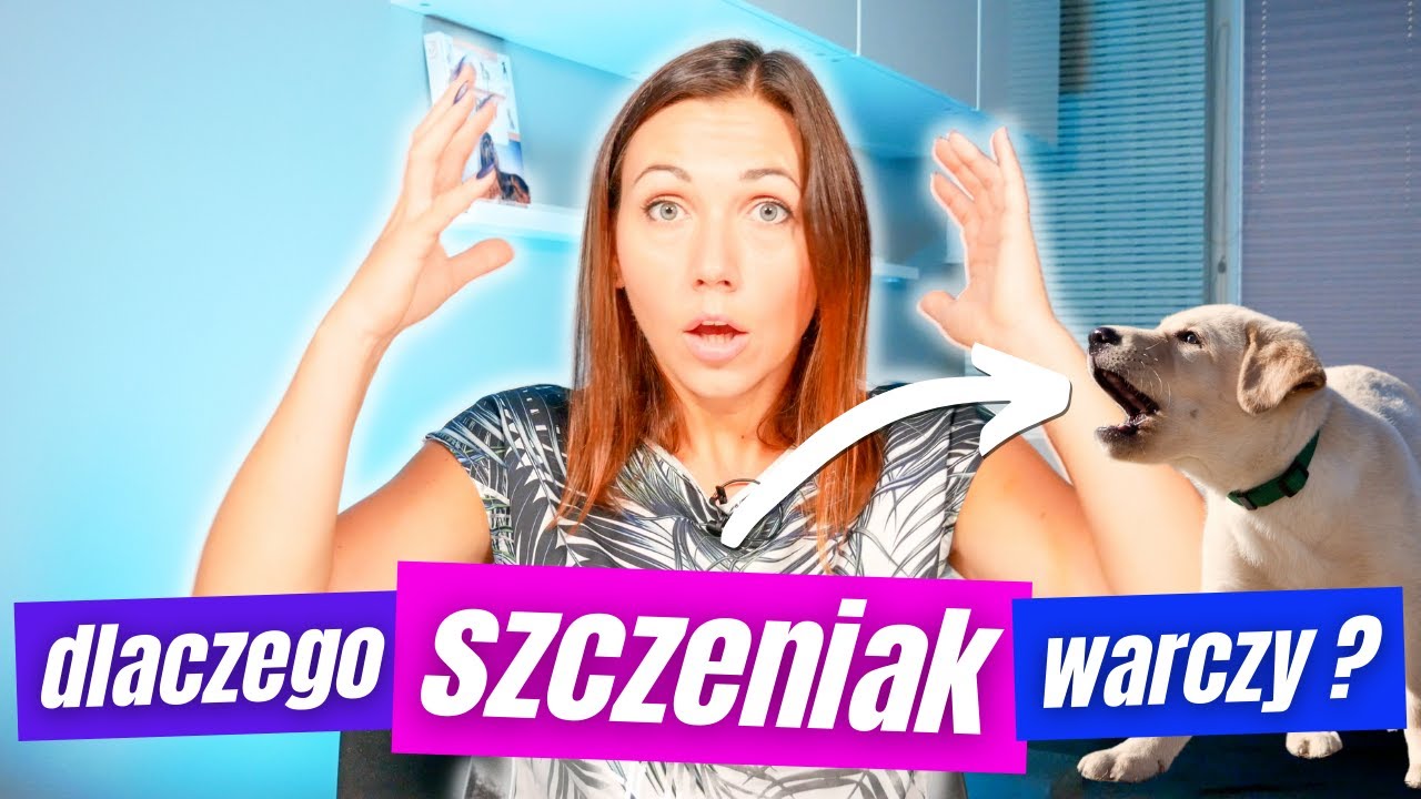 Dlaczego szczeniak warczy i co z tym zrobić?