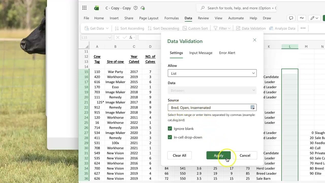 Utilizing Drop downs in Excel