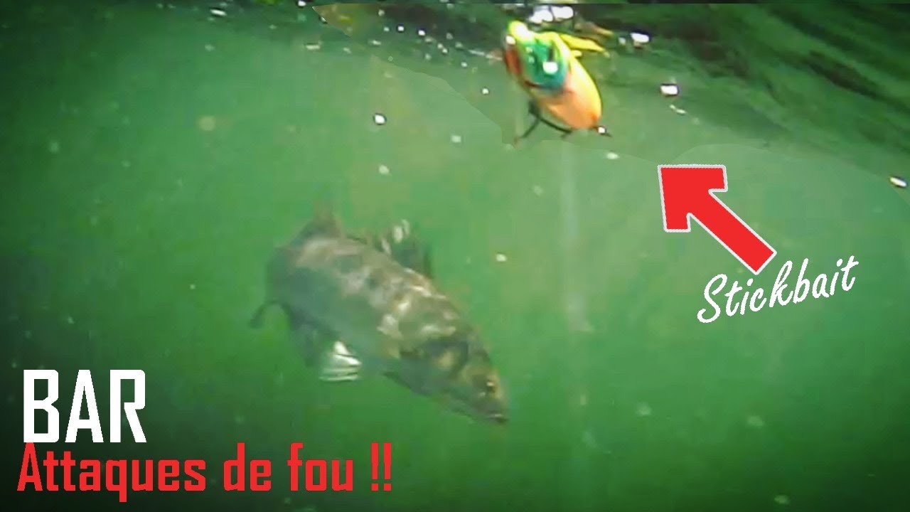 Un BAR attaque mon STICKBAIT !!   SEABASS fishing