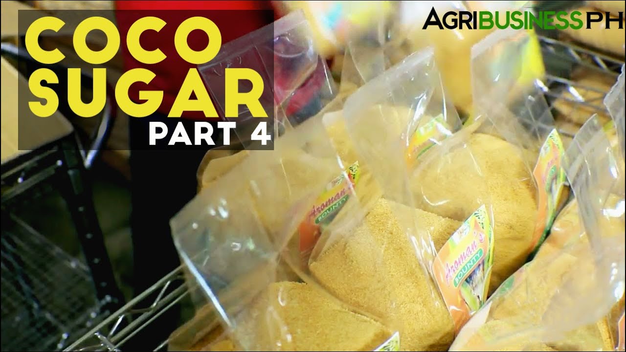 Coco Sugar Part 4 : How to make Coco Sugar | Agribusiness Philippines