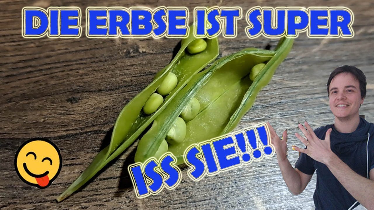 Die Erbse ist super - Darum solltest DU sie essen!