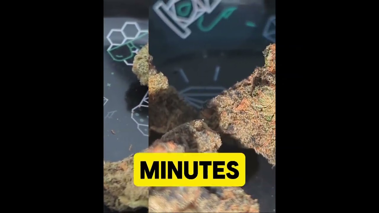 📦 Big Narstie PM T26 Purple Milk Review 💜🔥