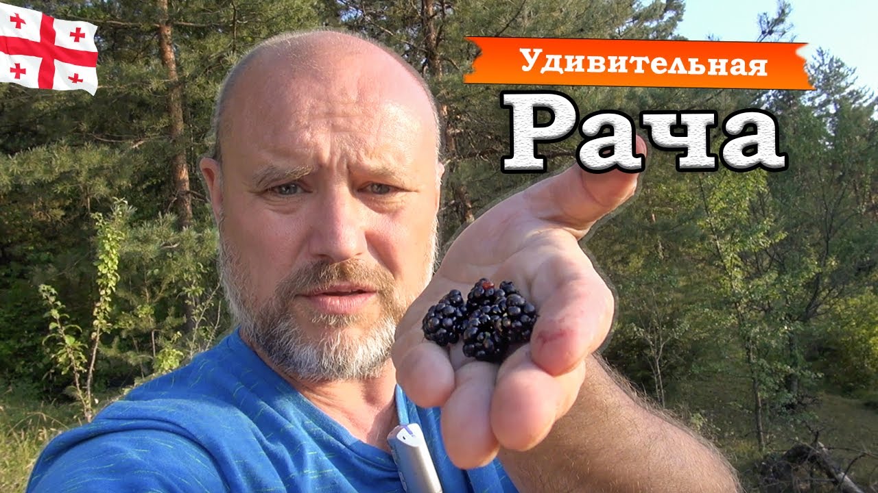 Удивительная Рача || Один день из путешествия в грузинскую Швейцарию