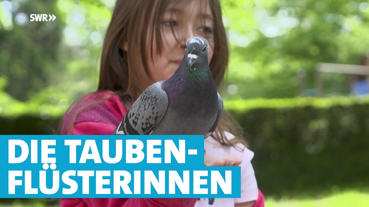 Die Retterinnen der Trierer Stadttauben