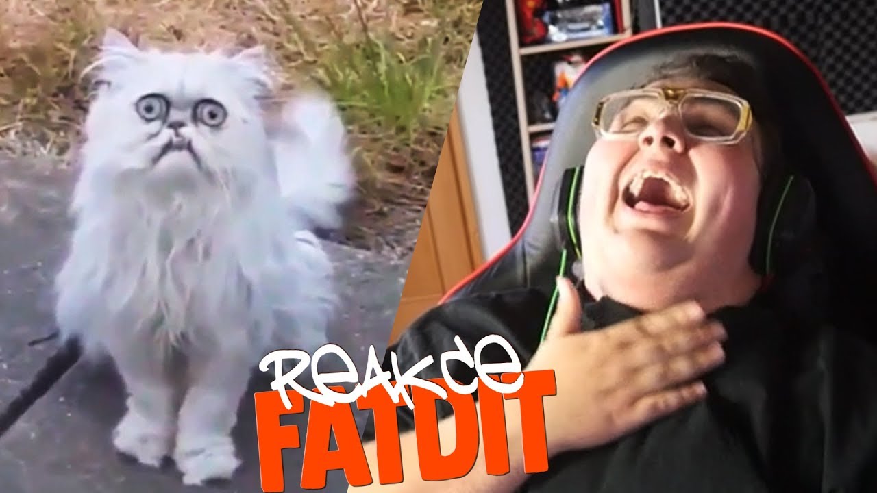 TO SNAD NENI MOŽNÝ!!