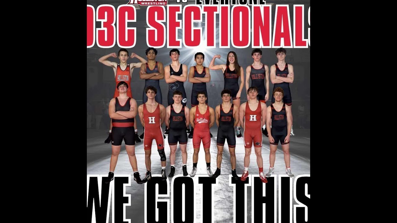 D3C Sectionals  Holliston