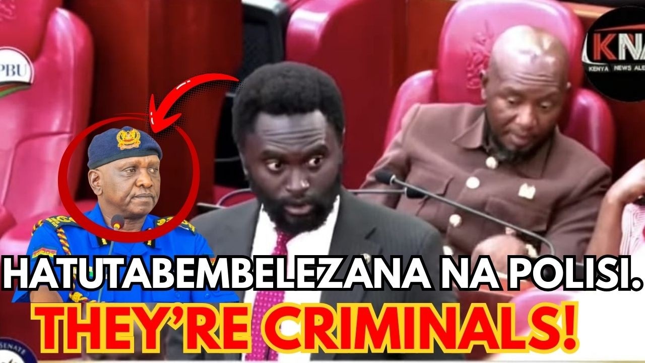 SENATOR METHU BREATHS FIRE! THE POLICE ARE TURNING CRIMINALS, AND WE WON'T TAKE THIS LIKELY