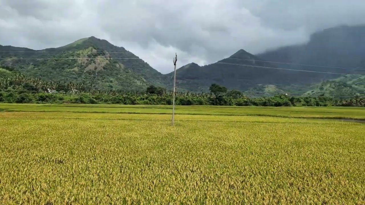 Mekkarai - one of Tamil Nadu's prettiest villages that is surrounded by the dense Western Ghats