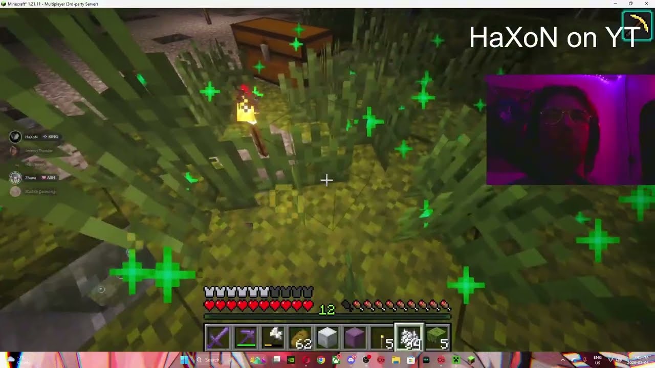 Minecraft SMP Shenanigans with New Friends