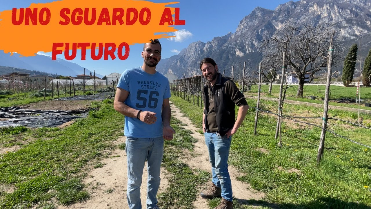 Cosa sono DAVVERO le Varietà Antiche 🍎 - Vivaio Omezzolli
