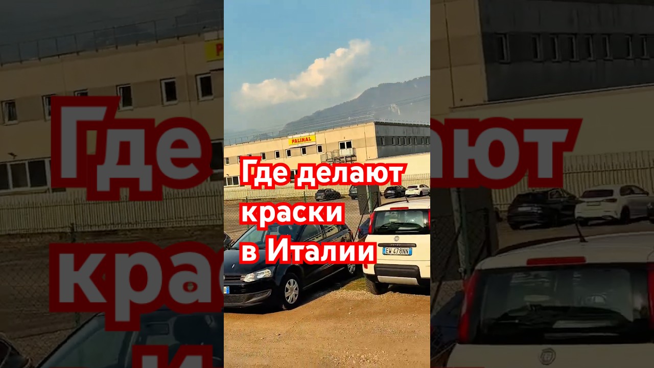 Что такое Palinal. АвтомастерскаяБАВ.