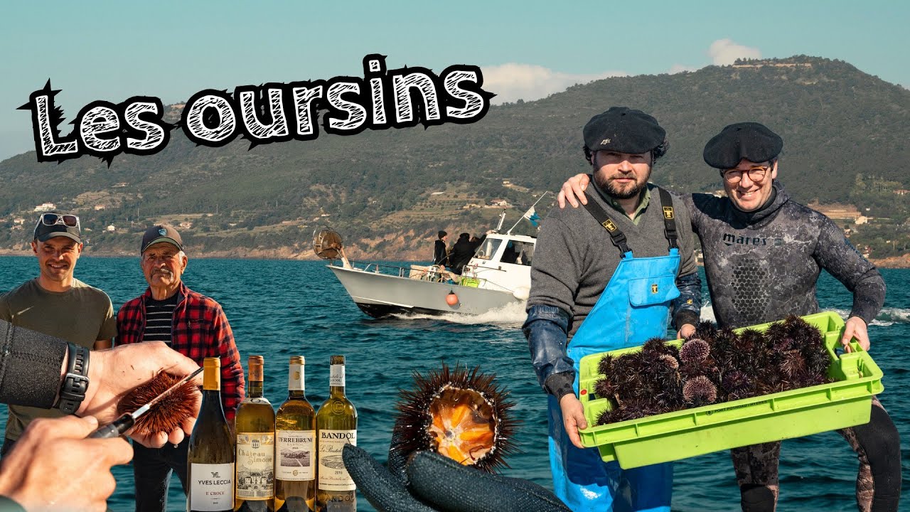 Les oursins 🎣🍽️ Gueuleton