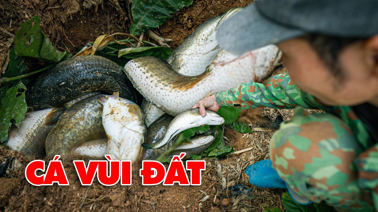 CÁ VÙI ĐẤT - MÓN ĂN MỚI CHẾ CỦA ÔNG NGOẠI 