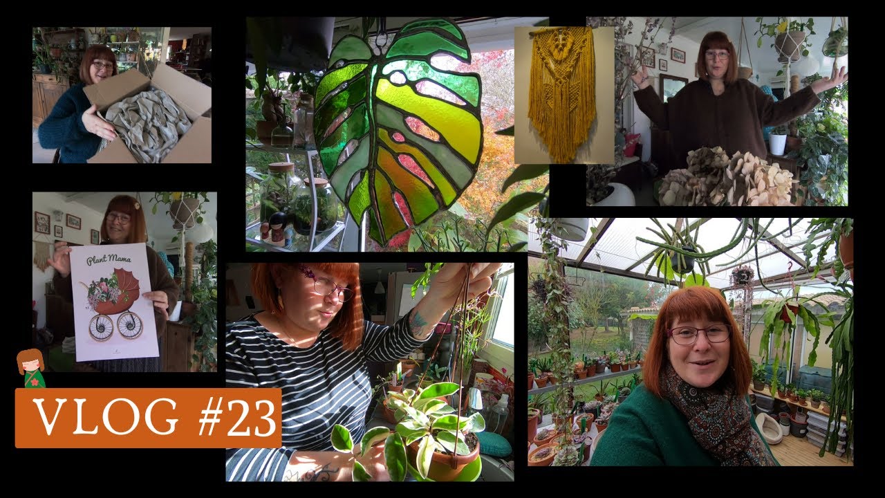 VLOG #23🌿UNBOXING d'une créatrice (à la fin)🎁achats déco et ILLUSTRATIONS😍 Entretien Hoyas_ Macramé