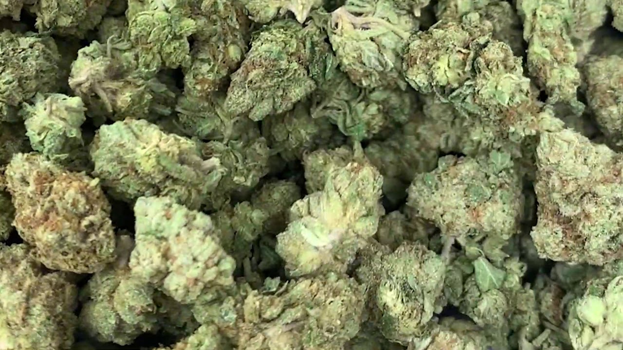 Zookies