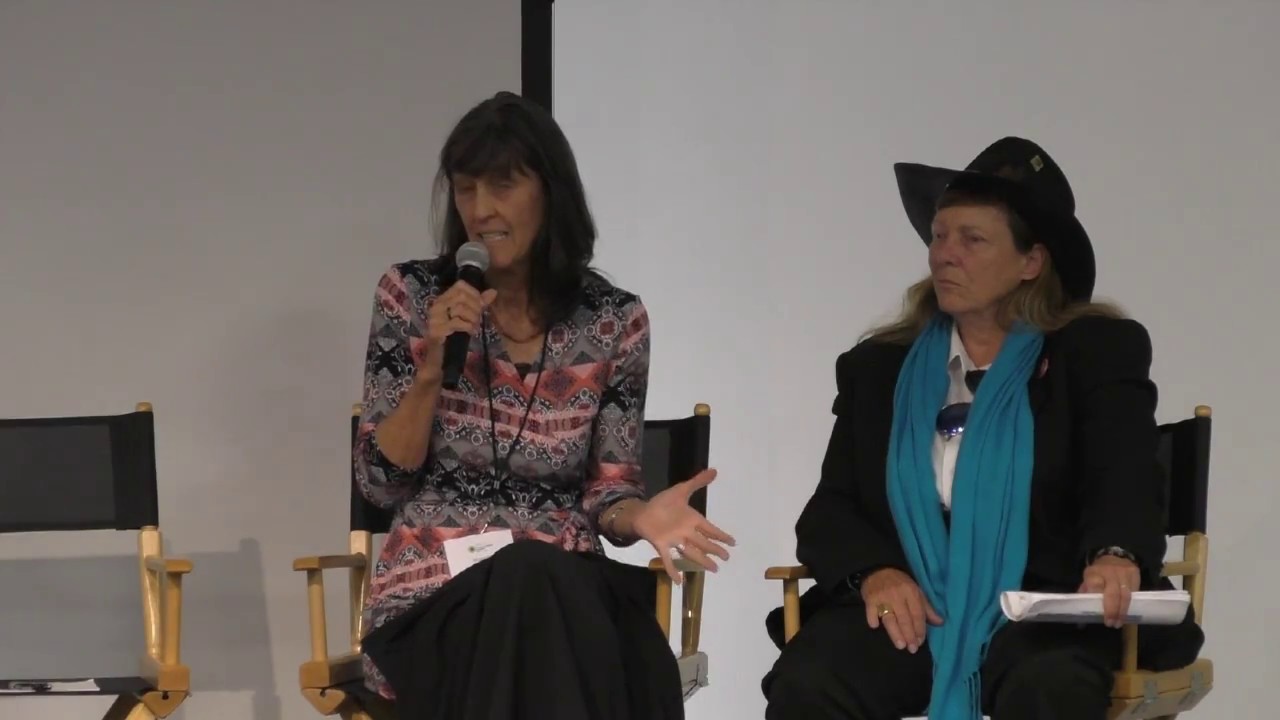Political Narratives: Maggie Fox - Regenerative Future Summit 2017