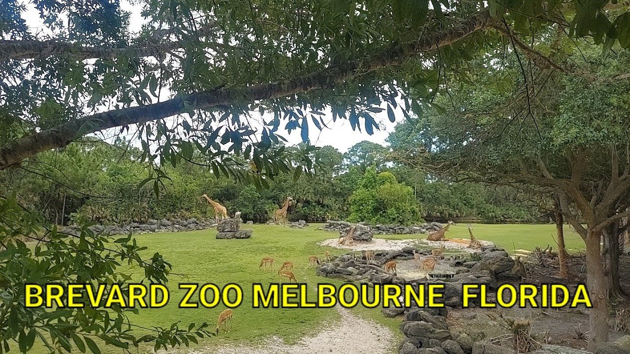 Brevard Zoo  Melbourne Florida