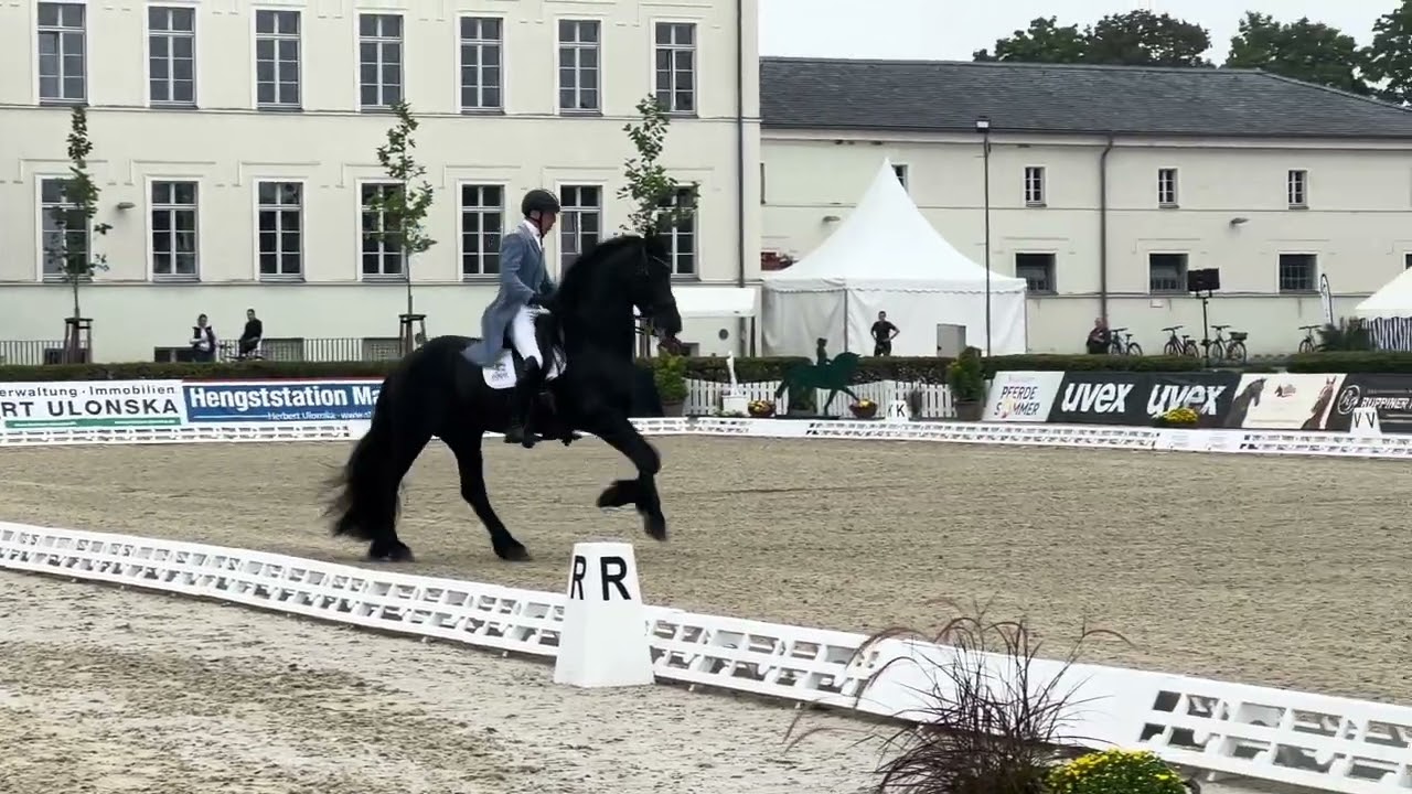 Parel - CDI2* Neustadt Dosse 2025