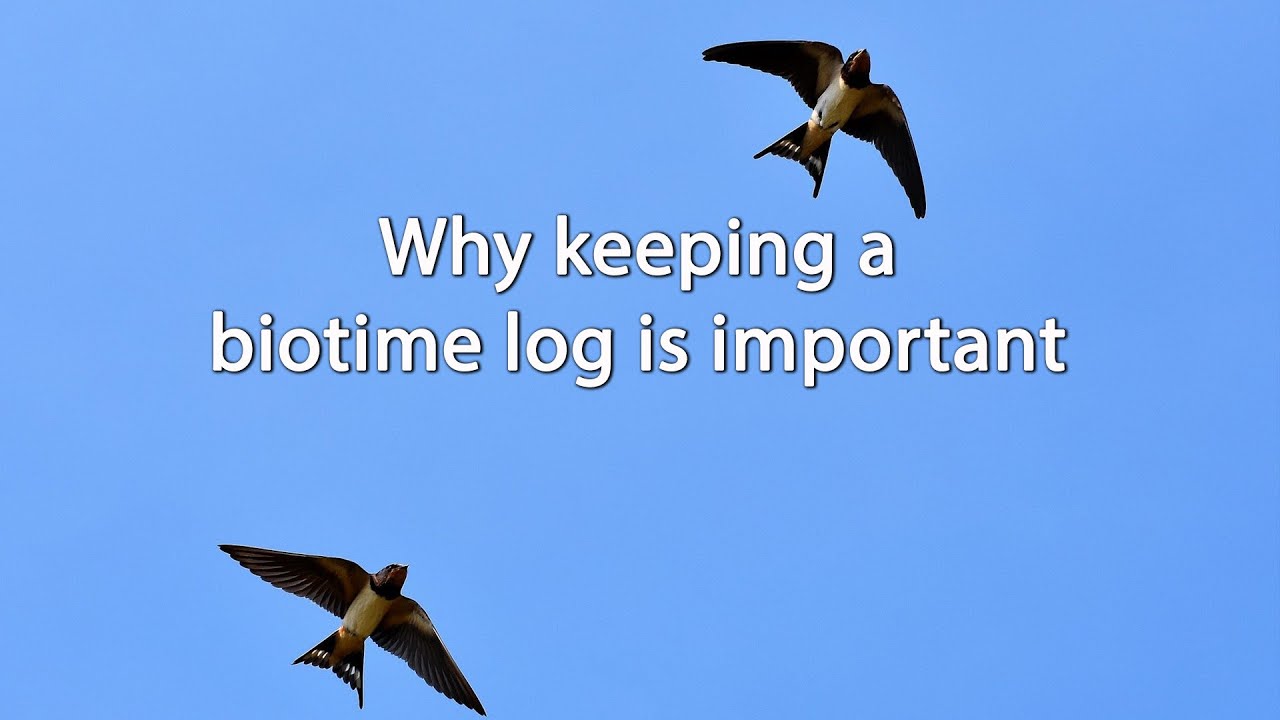 Jon Young, Nature Connection & The Biotime Log