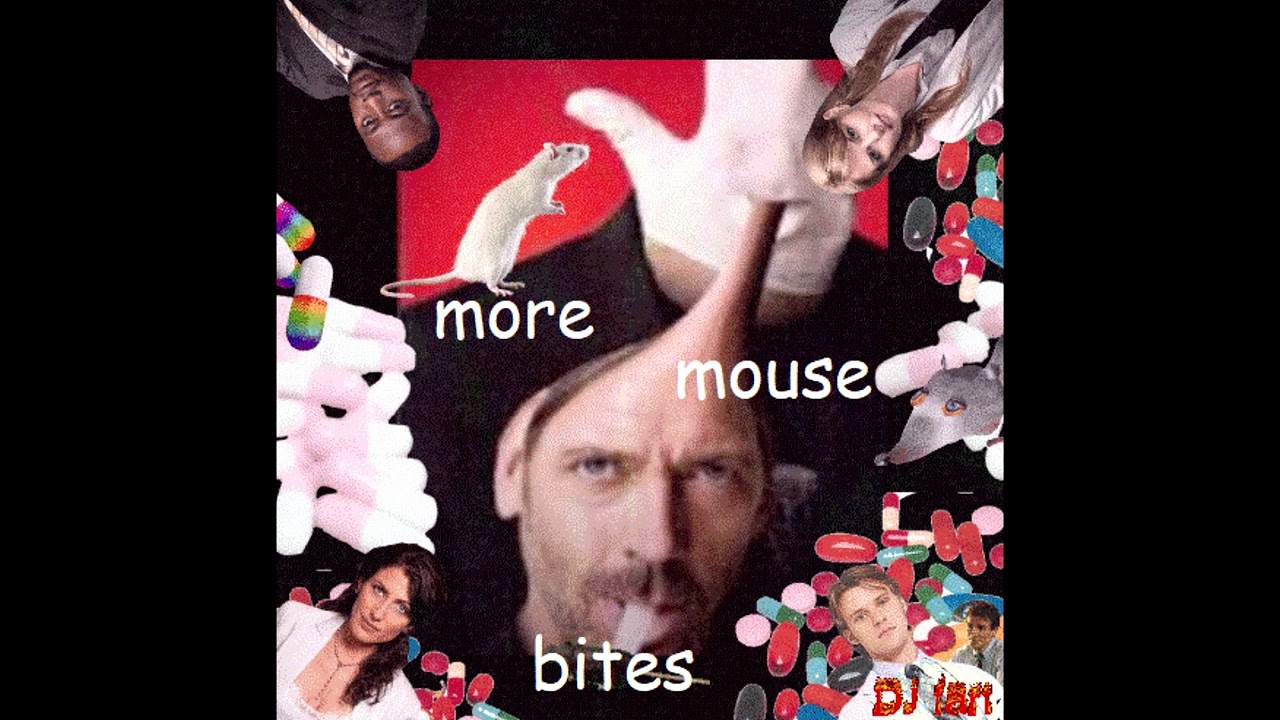 DJ fart - MORE MOUSE BITES