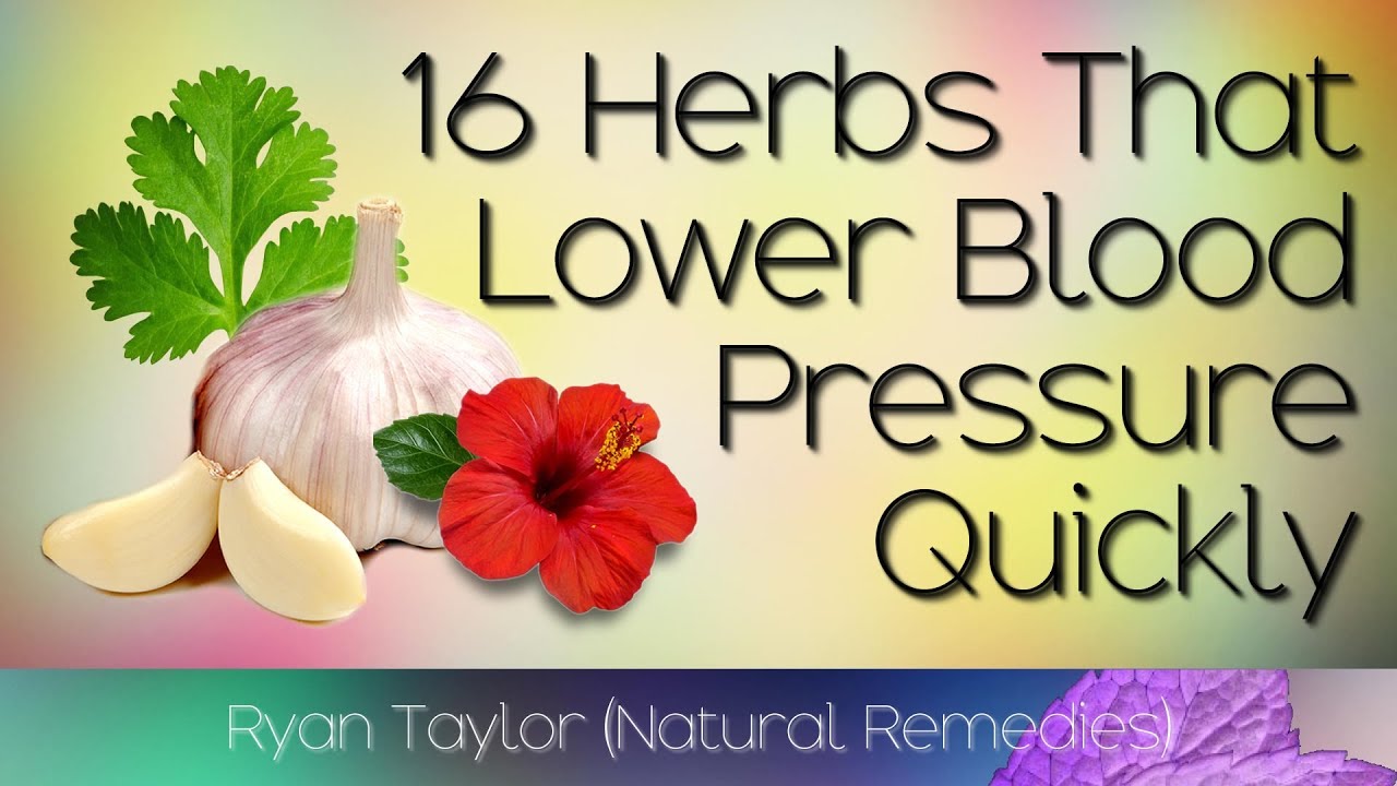 16 Herbs that Lower Blood Pressure (Naturally and Quickly)
