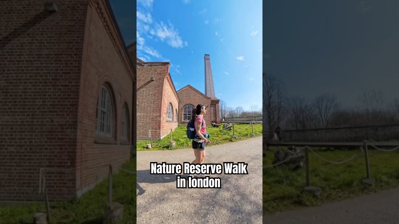 Nature reserve walk in London