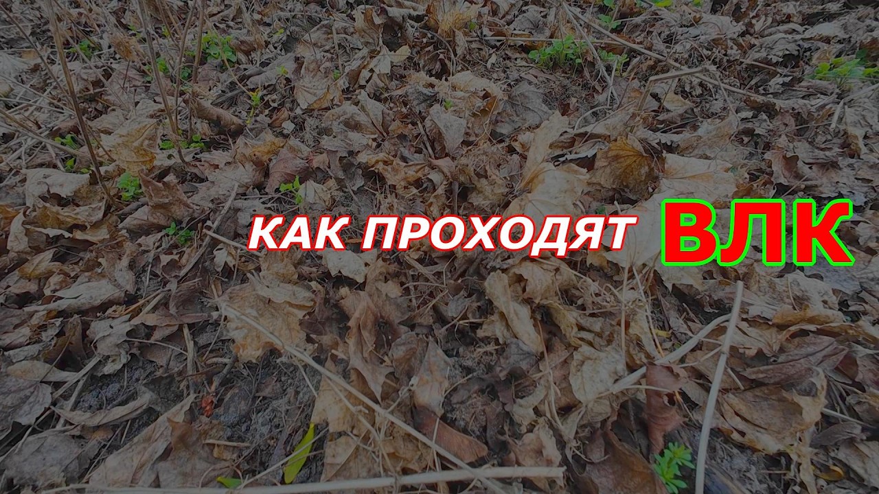Как Проходят ВЛК