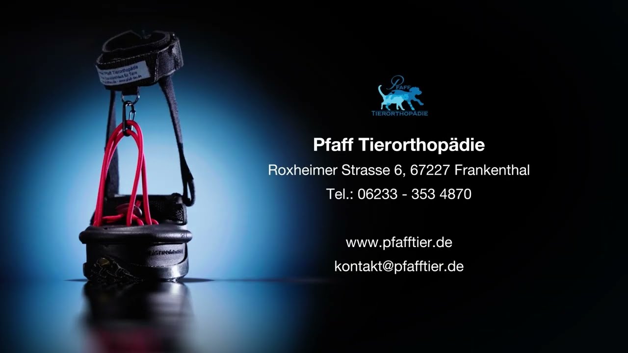 PTO- OrthoBoot  Pfoten-Hebeorthese - Therapieorthese